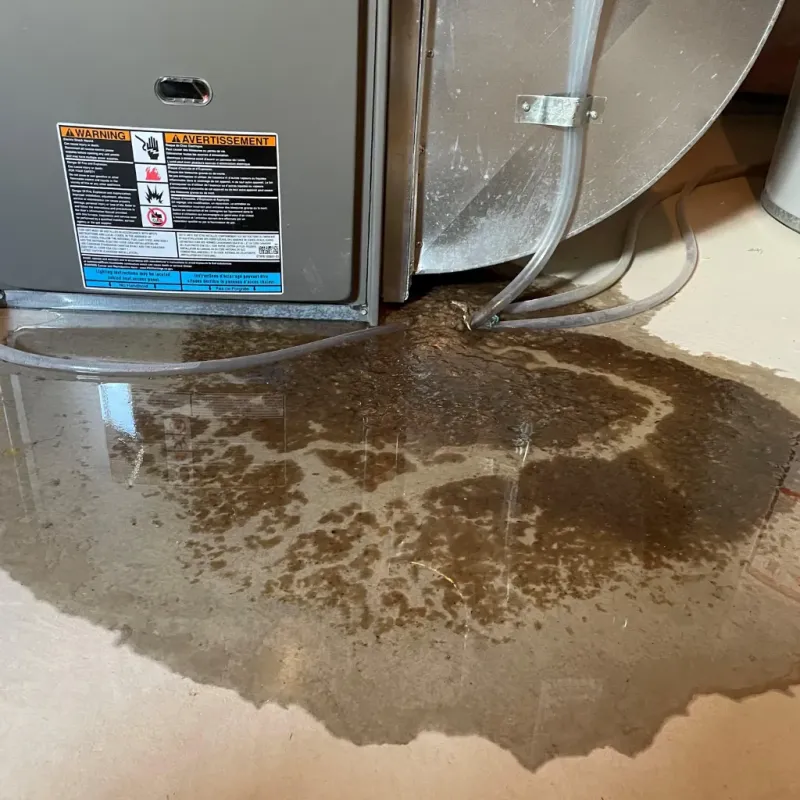 Appliance Leak Cleanup in Thurmond, NC